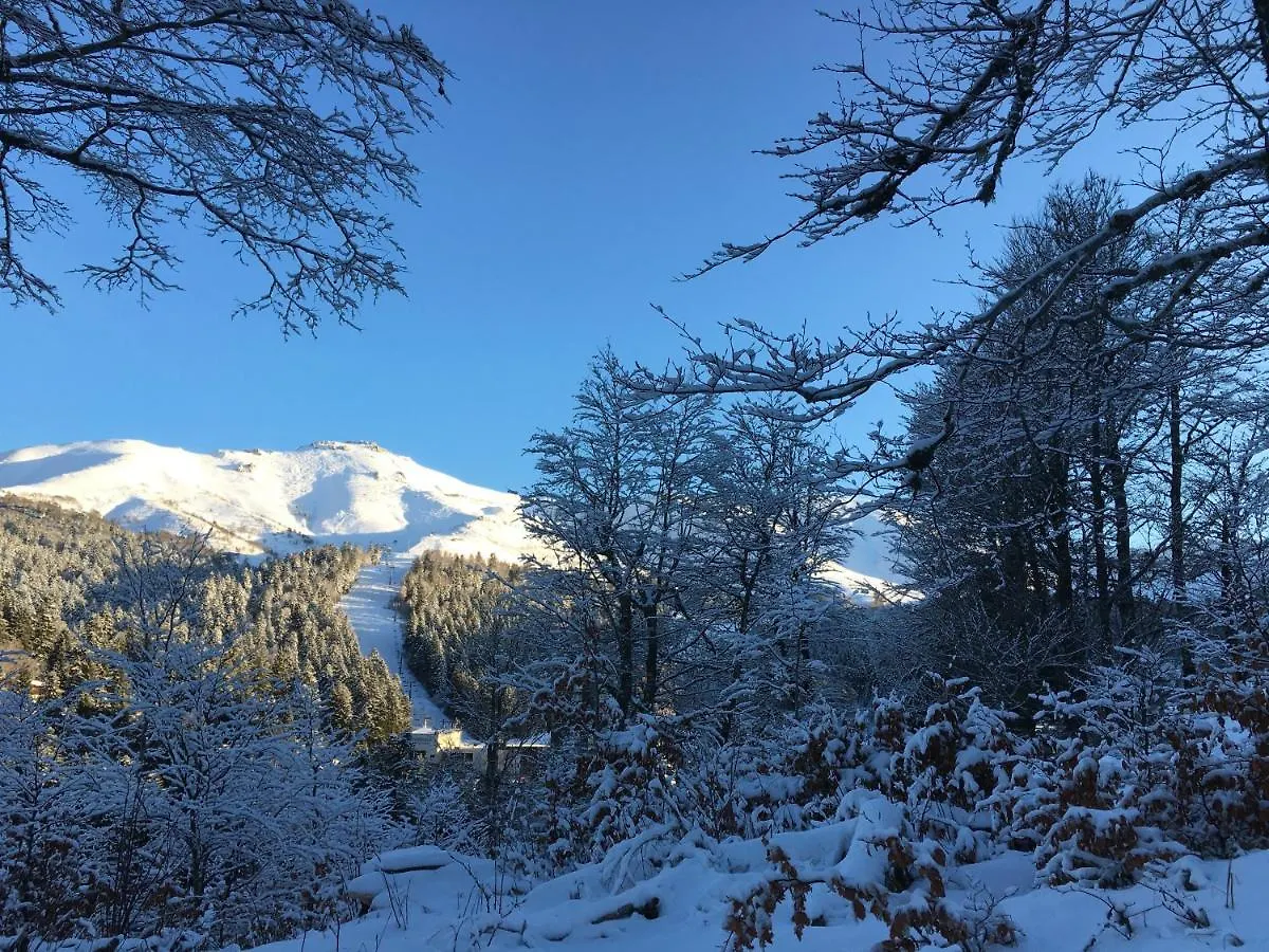 Le Lioran Studio Les Myrtilles A 200M Des Pistes Le Lioran