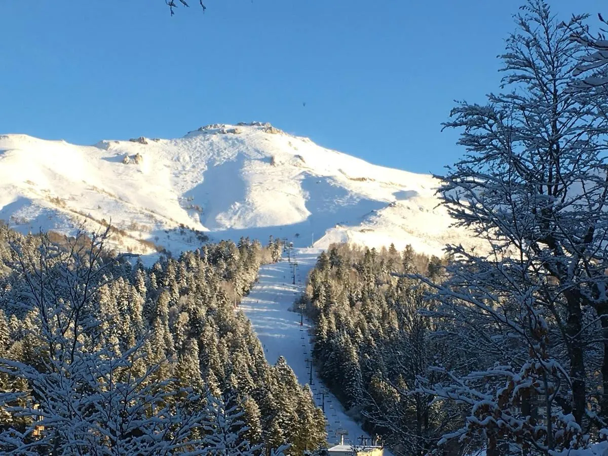 Apartment Le Lioran Studio Les Myrtilles A 200M Des Pistes
