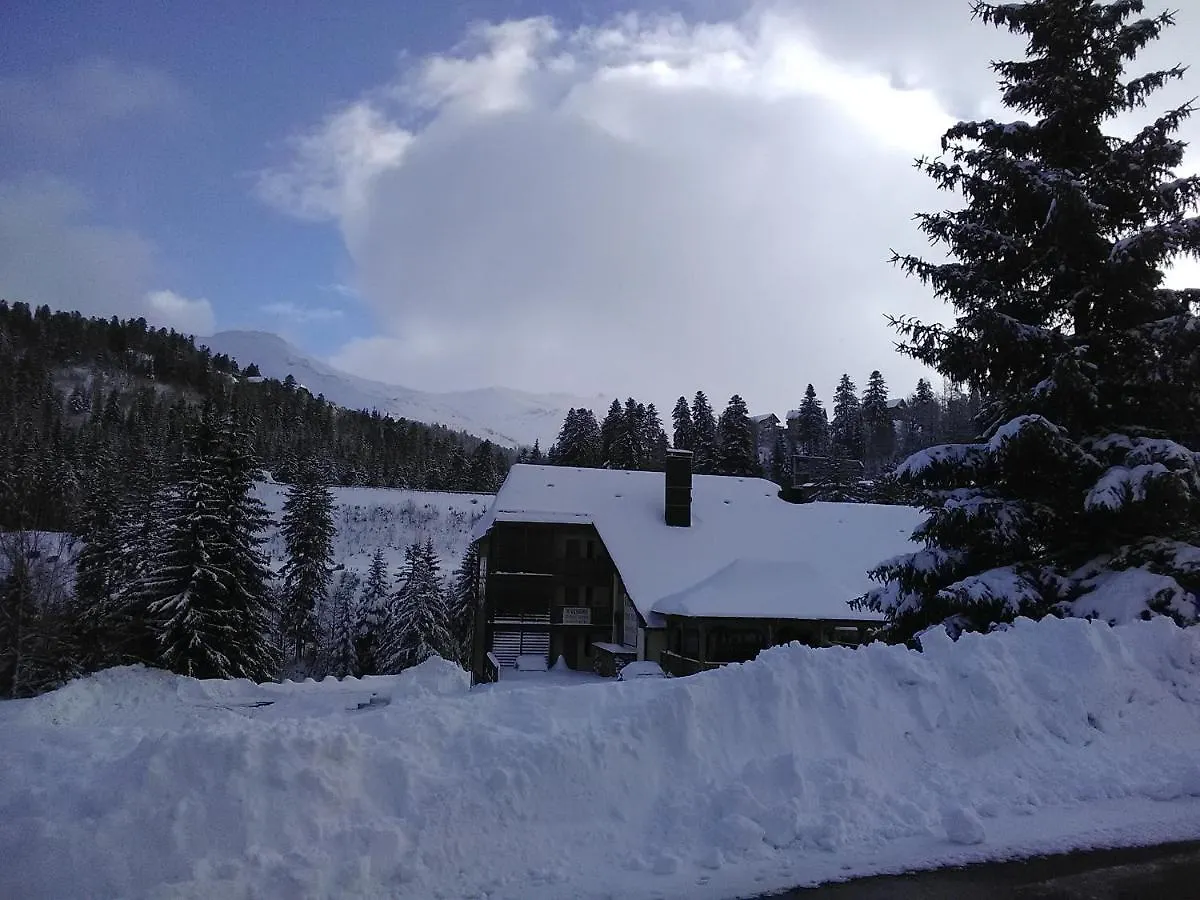 Le Lioran Studio Les Myrtilles A 200M Des Pistes Apartment